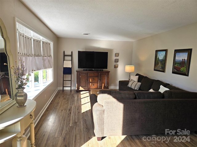 living room with dark wood-type flooring and a textured ceiling