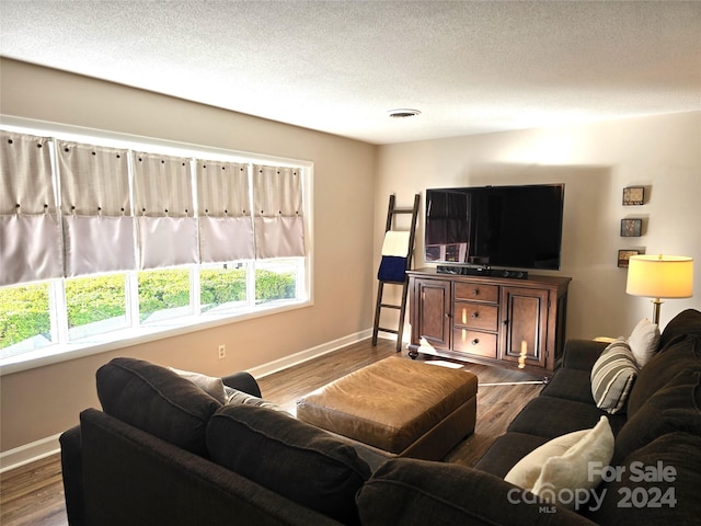 living room featuring hardwood / wood-style floors and a textured ceiling