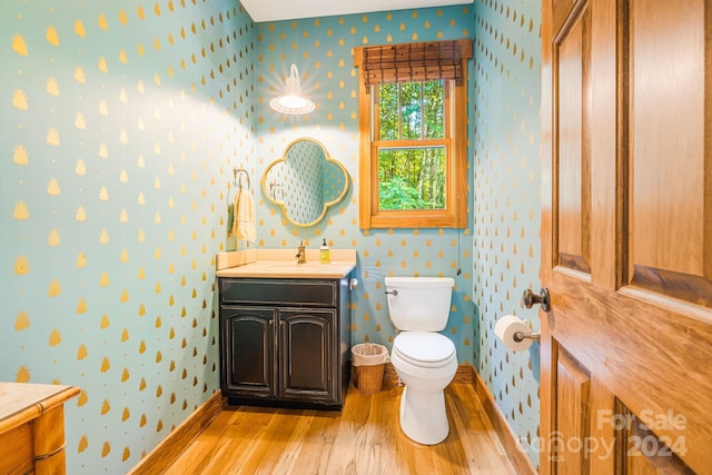 bathroom featuring vanity, toilet, and hardwood / wood-style flooring