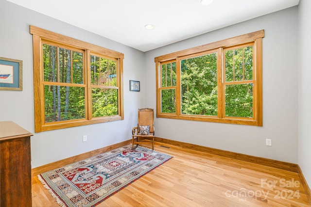 sitting room featuring wood-type flooring and plenty of natural light