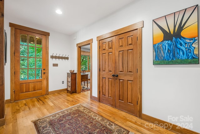 foyer featuring wood-type flooring