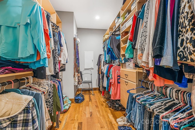 spacious closet with electric panel and hardwood / wood-style flooring