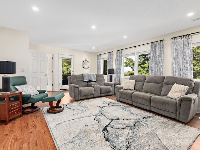 living room featuring light wood-type flooring