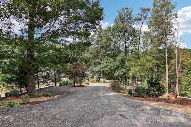 18 Spencer Rd, Candler, NC 28715 - view of dirt / gravel road