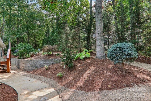 18 Spencer Rd, Candler, NC 28715 - view of yard