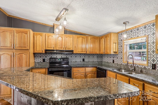 18 Spencer Rd, Candler, NC 28715 - kitchen featuring black appliances, a sink, under cabinet range hood, vaulted ceiling, and ornamental molding