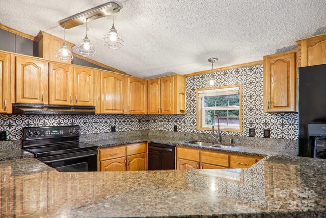 18 Spencer Rd, Candler, NC 28715 - kitchen with a sink, black appliances, ornamental molding, under cabinet range hood, and a textured ceiling
