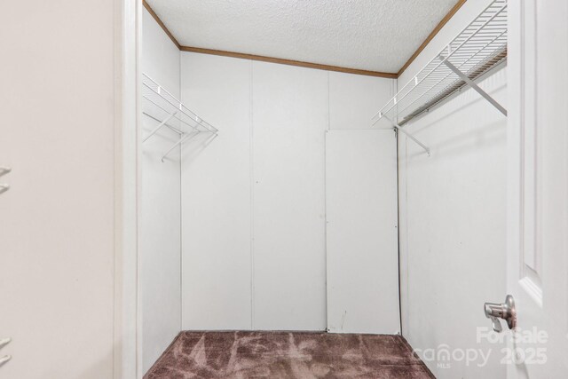 18 Spencer Rd, Candler, NC 28715 - walk in closet featuring carpet