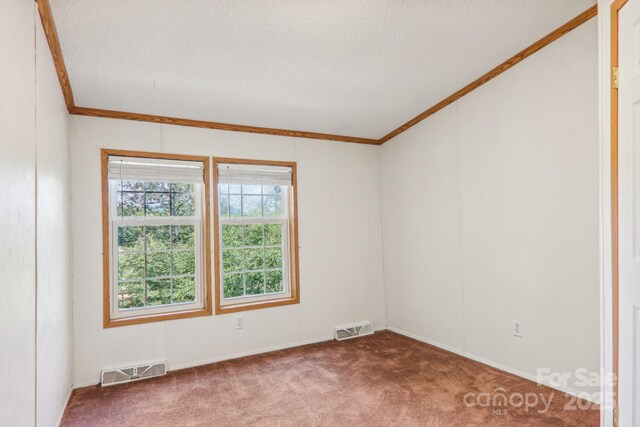 18 Spencer Rd, Candler, NC 28715 - carpeted spare room featuring ornamental molding, a textured ceiling, and baseboards