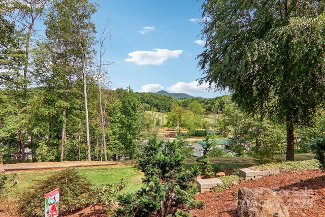 18 Spencer Rd, Candler, NC 28715 - view of mountain backdrop