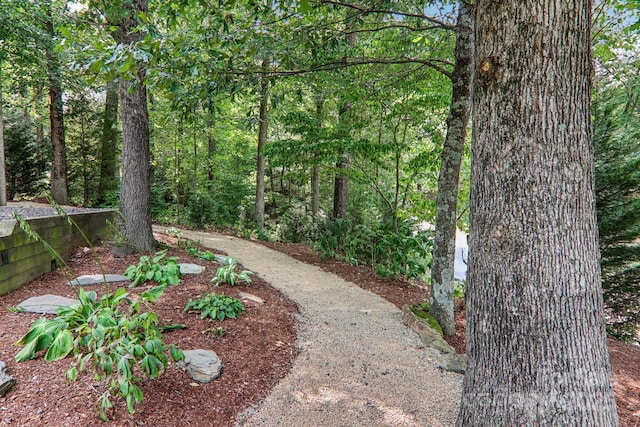 18 Spencer Rd, Candler, NC 28715 - view of yard with a wooded view