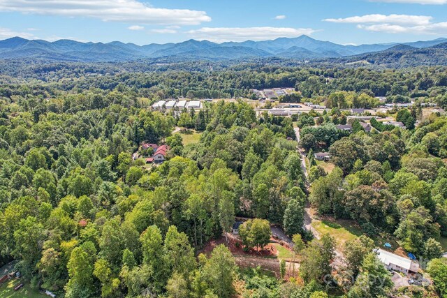 18 Spencer Rd, Candler, NC 28715 - drone / aerial view of a forest and a mountain backdrop