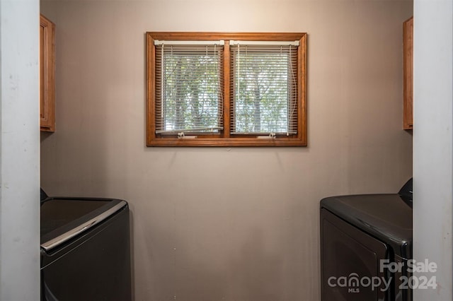 laundry room featuring cabinets and washer and clothes dryer