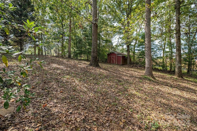 view of yard featuring a storage unit