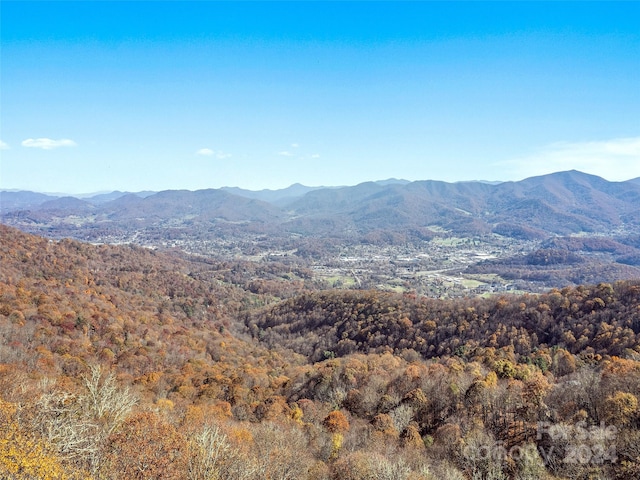 83.69ACRES Hummingbird Ln, Waynesville NC, 28786 land for sale