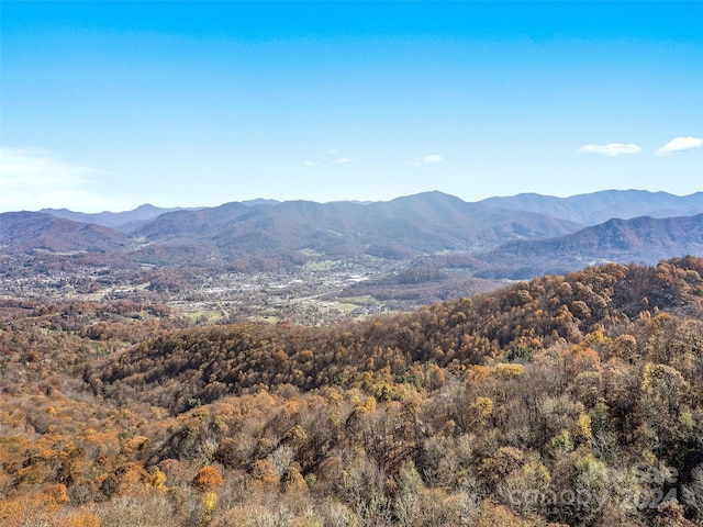 Listing photo 2 for 83.69ACRES Hummingbird Ln, Waynesville NC 28786