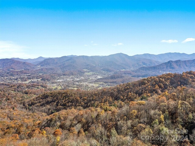 83.69ACRES Hummingbird Ln, Waynesville, NC 28786 - photo 2