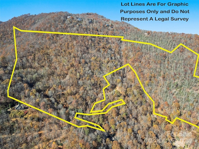 Listing photo 3 for 83.69ACRES Hummingbird Ln, Waynesville NC 28786