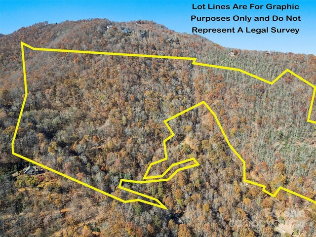 83.69ACRES Hummingbird Ln, Waynesville, NC 28786 - photo 3