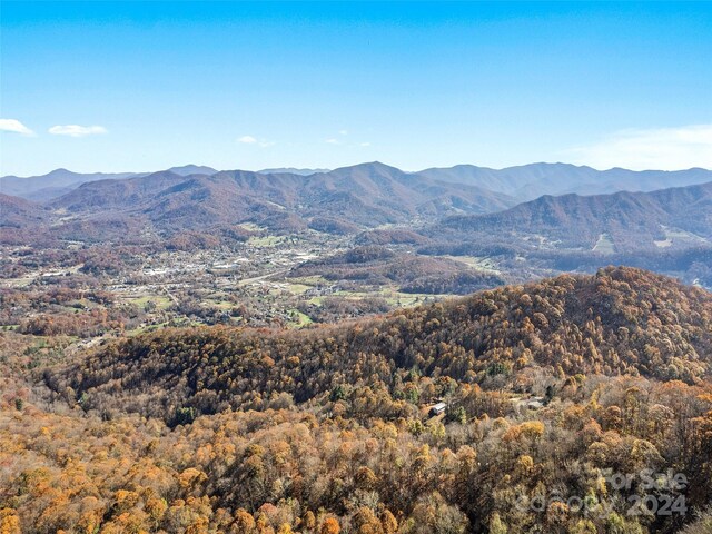 83.69ACRES Hummingbird Ln, Waynesville, NC 28786 - photo 4