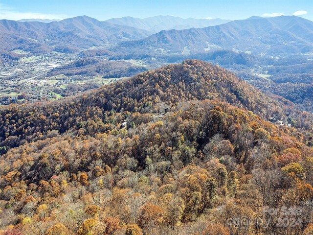 83.69ACRES Hummingbird Ln, Waynesville, NC 28786 - photo 5
