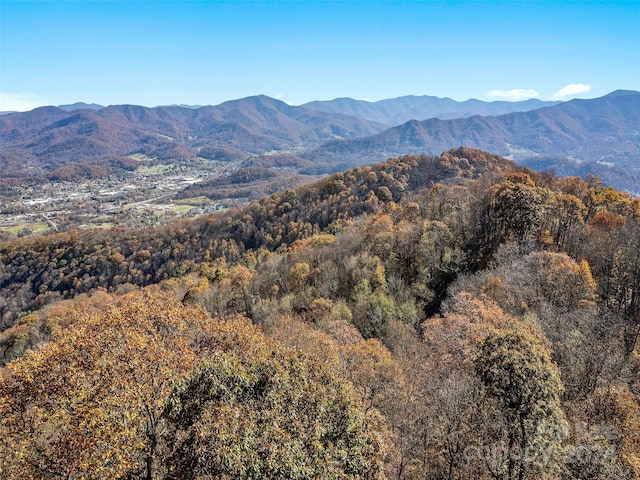 83.69ACRES Hummingbird Ln, Waynesville, NC 28786 - photo 6