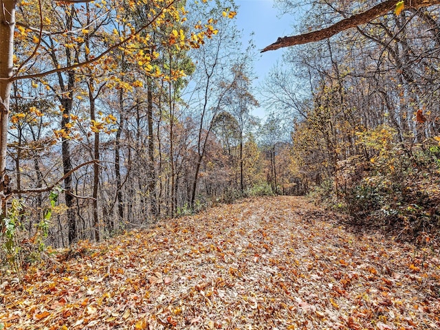 83.69ACRES Hummingbird Ln, Waynesville, NC 28786 - photo 7
