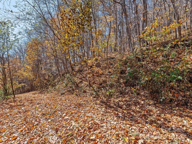 83.69ACRES Hummingbird Ln, Waynesville, NC 28786 - photo 8