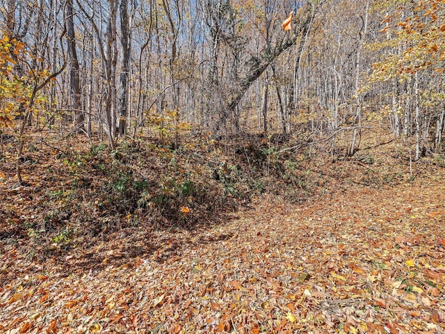 83.69ACRES Hummingbird Ln, Waynesville, NC 28786 - photo 10