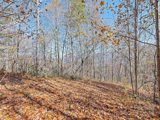 83.69ACRES Hummingbird Ln, Waynesville, NC 28786 - photo 11