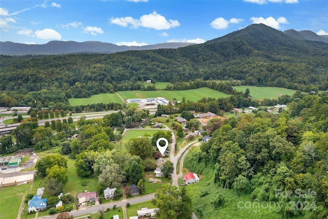 birds eye view of property featuring a mountain view