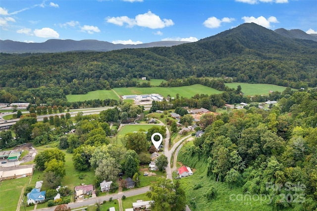 aerial view featuring a mountain view