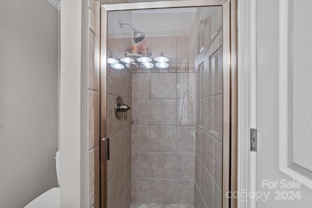 full bathroom with toilet and a stall shower