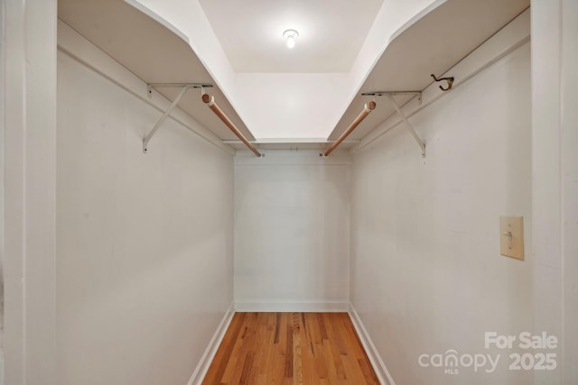 spacious closet featuring hardwood / wood-style flooring