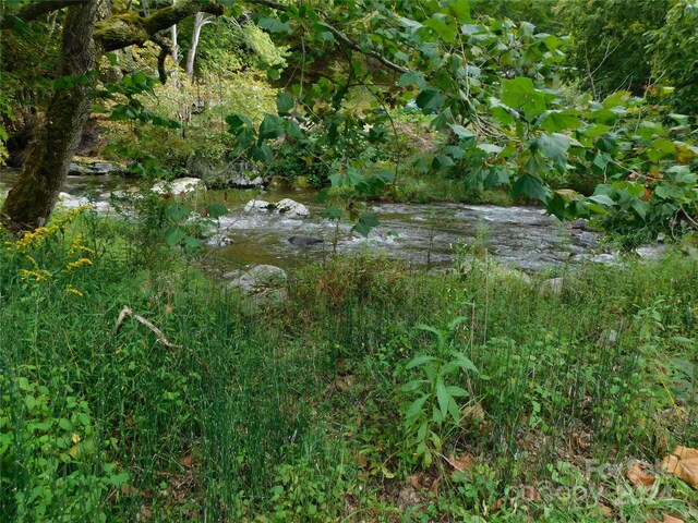 3206 Fork Mountain Rd, Bakersville, NC 28705 - photo 3