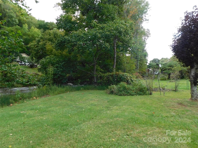 3206 Fork Mountain Rd, Bakersville, NC 28705 - photo 6
