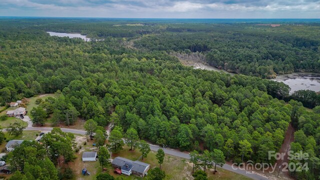 00 Raintree Rd, Hamlet, NC 28345 - photo 3