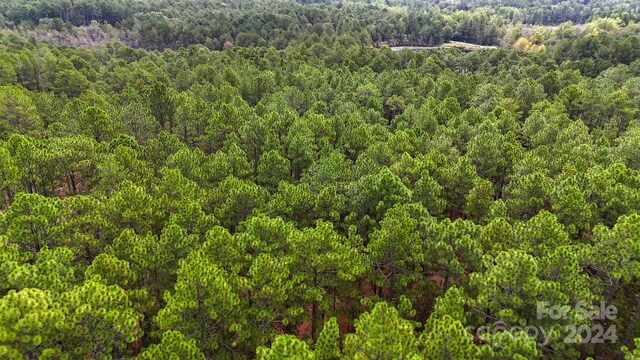 00 Raintree Rd, Hamlet, NC 28345 - photo 13