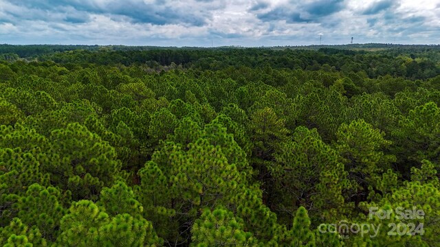 00 Raintree Rd, Hamlet, NC 28345 - photo 14