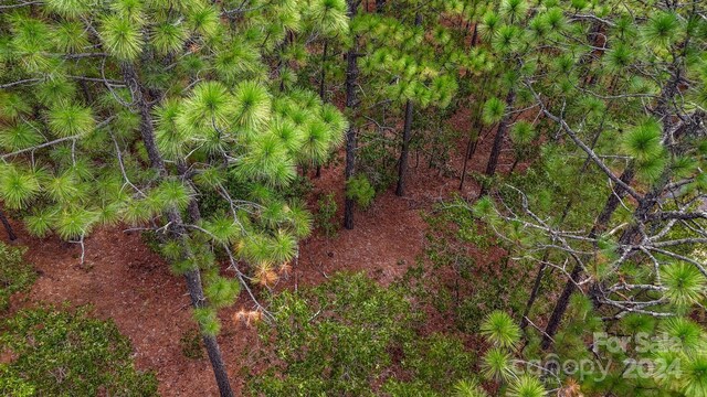 00 Raintree Rd, Hamlet, NC 28345 - photo 15
