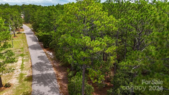 00 Raintree Rd, Hamlet, NC 28345 - photo 17