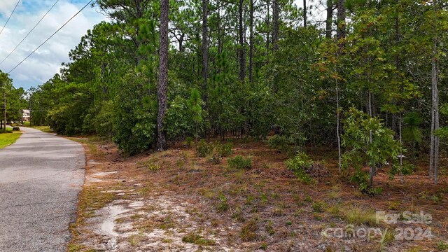 00 Raintree Rd, Hamlet, NC 28345 - photo 18