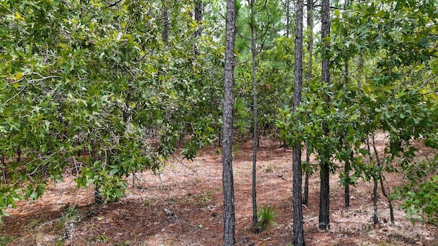 00 Raintree Rd, Hamlet, NC 28345 - photo 19