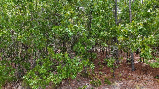 00 Raintree Rd, Hamlet, NC 28345 - photo 20
