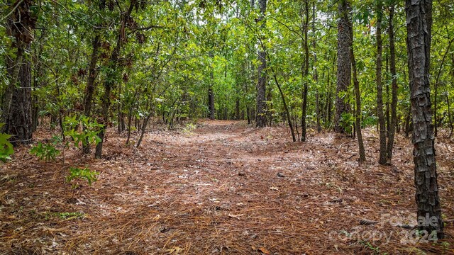 00 Raintree Rd, Hamlet, NC 28345 - photo 21