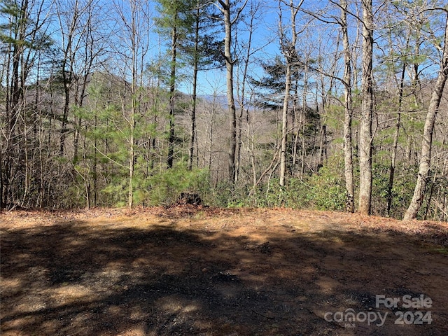 Listing photo 3 for 000 Elkin Rd Unit 18, 19, Bakersville NC 28705