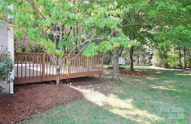 view of yard featuring a deck and a shed