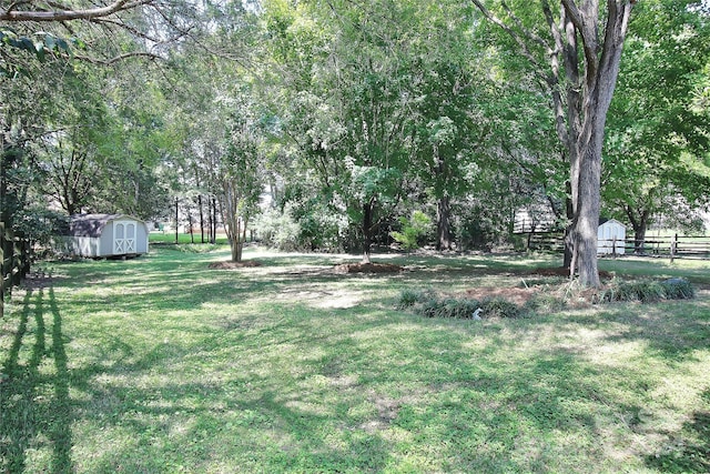 view of yard featuring a storage unit