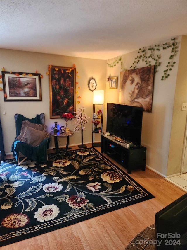 living room with wood-type flooring and a textured ceiling