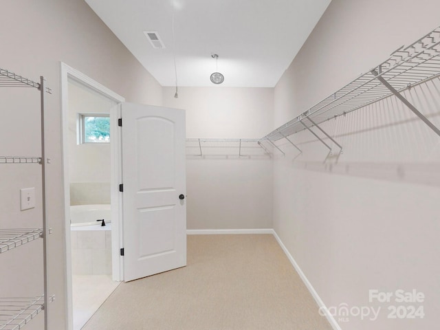 spacious closet featuring carpet floors